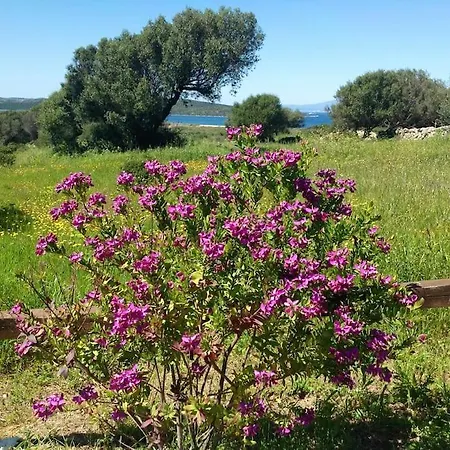 Bed & Breakfast Porto Pollo Wind & *